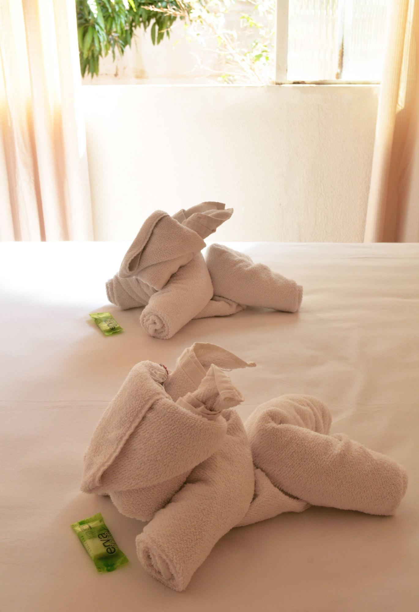 Iguacu Plaza Hotel Фос ду Игуасу Екстериор снимка